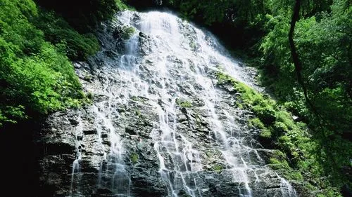 可靠性电子节能